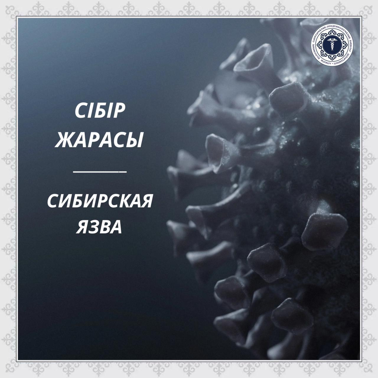 Сібір жарасы