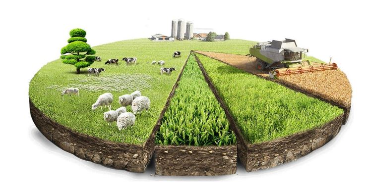 СҰРАҚ-ЖАУАП