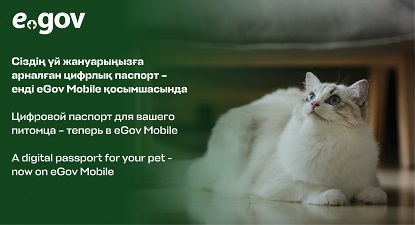 Сіздің үй жануарыңызға арналған цифрлық паспорт – енді eGov Mobile қосымшасында
