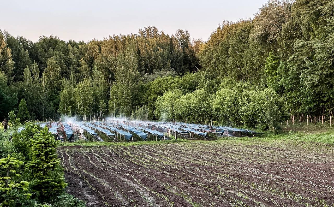Экология министрлігінің басшылығы жұмыс сапарымен ШҚО-на барды