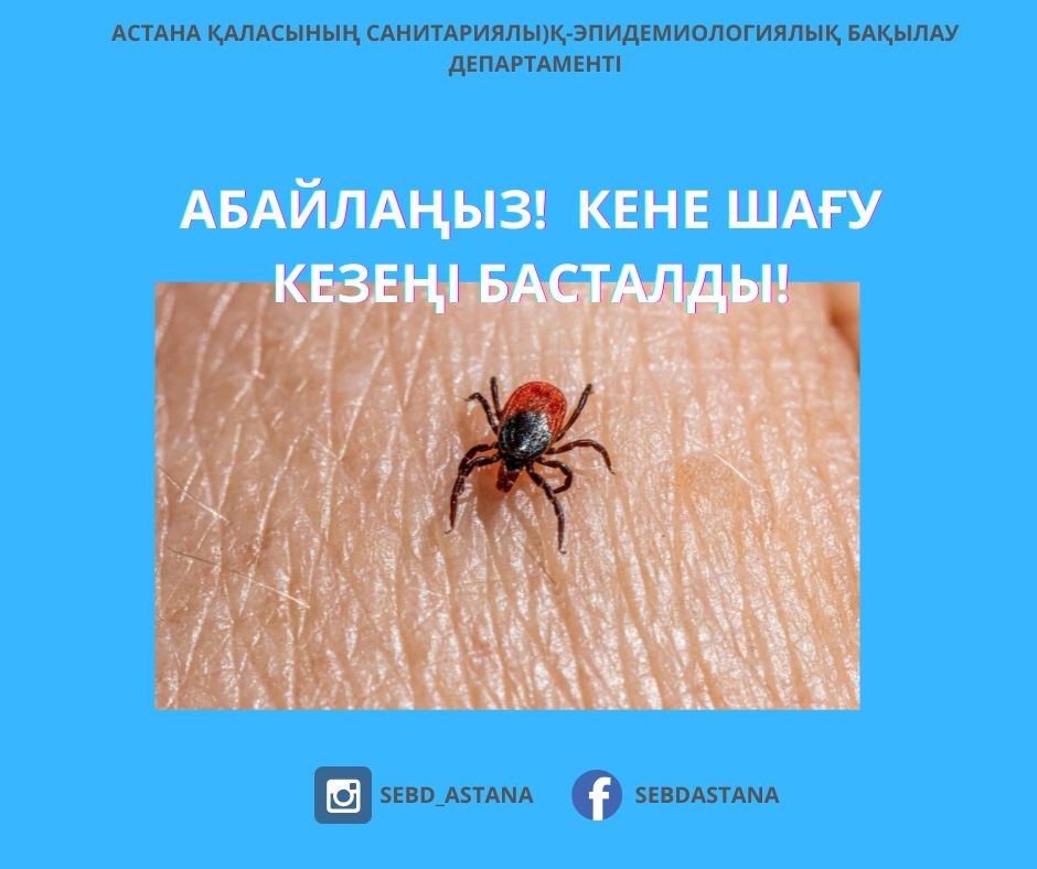 Абайлаңыз! Кене шағу кезеңі басталды!