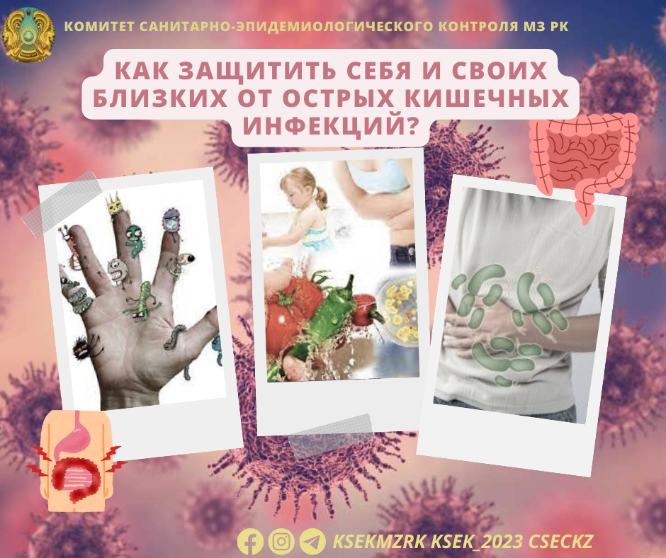 Как защитить себя и своих близких от острых кишечных инфекций?
