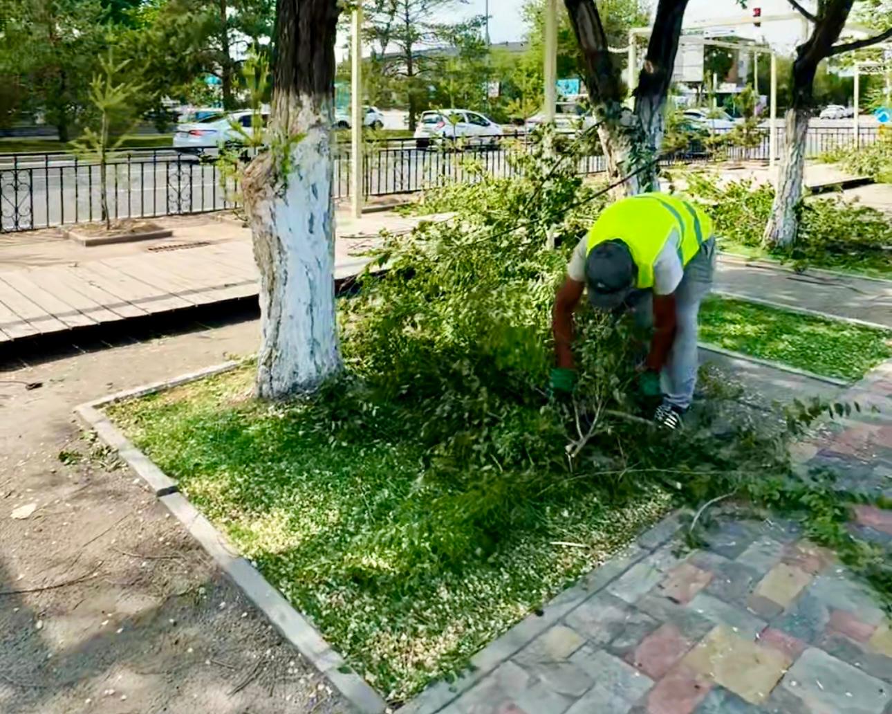 В Конаеве проводятся работы по санитарной обрезке деревьев