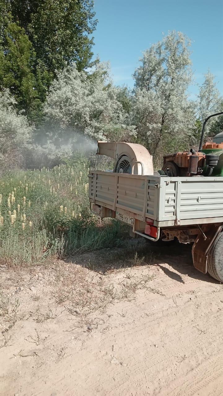 Шегірткеге қарсы залалсыздандыру жұмыстары