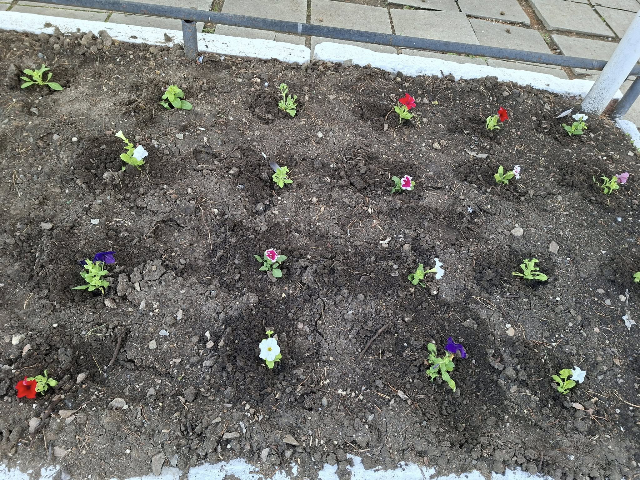 Абаттандыру