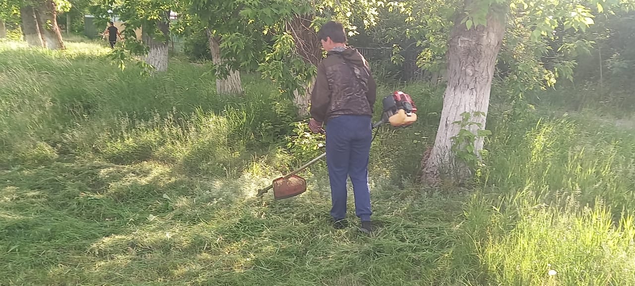 Абаттандыру жұмыстары