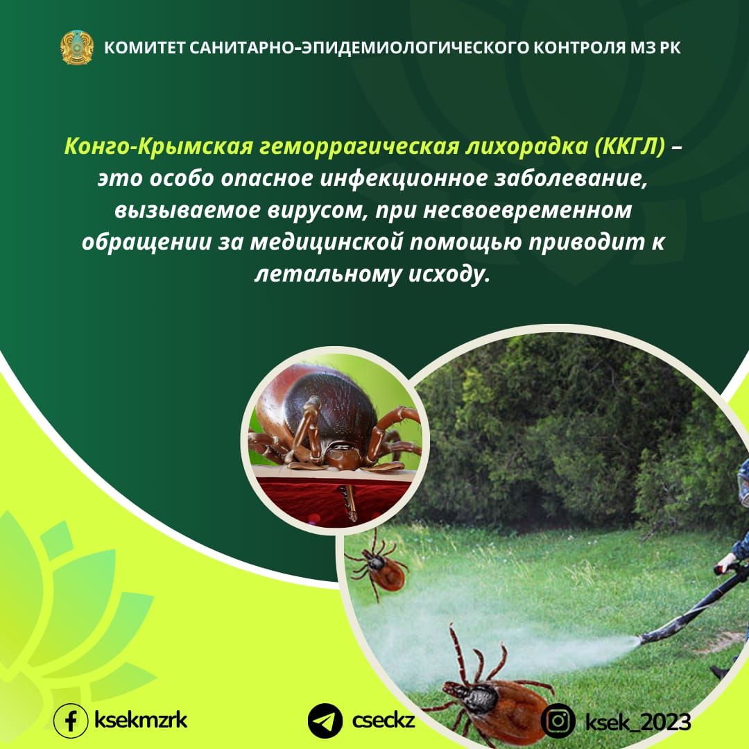 Конго-Крымская геморрагическая лихорадка