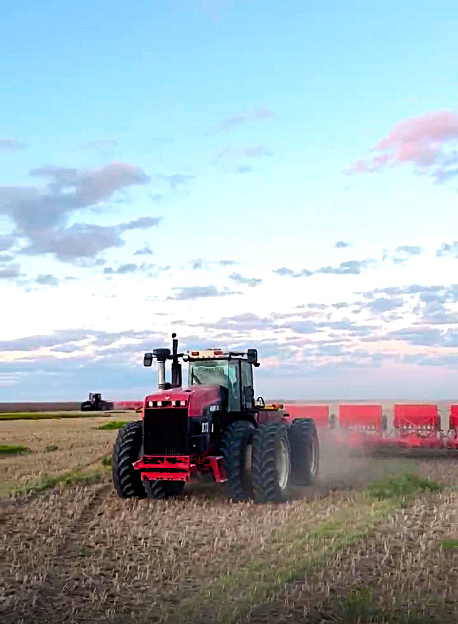 «Родина» Агрофирмасы» ЖШС және «Ақтық» Агрофирмасы» АҚ егіс науқанын аяқтады