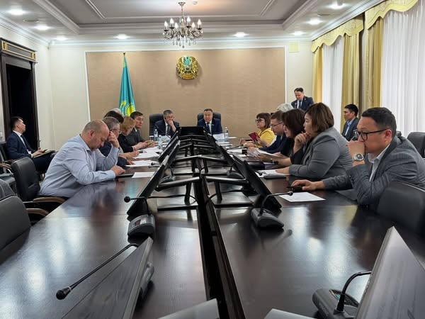 Медициналық қызметтердің қолжетімділігі мен сапасы мәселелері әлеуметтік мәселелер жөніндегі тұрақты комиссия отырысында талқыланды