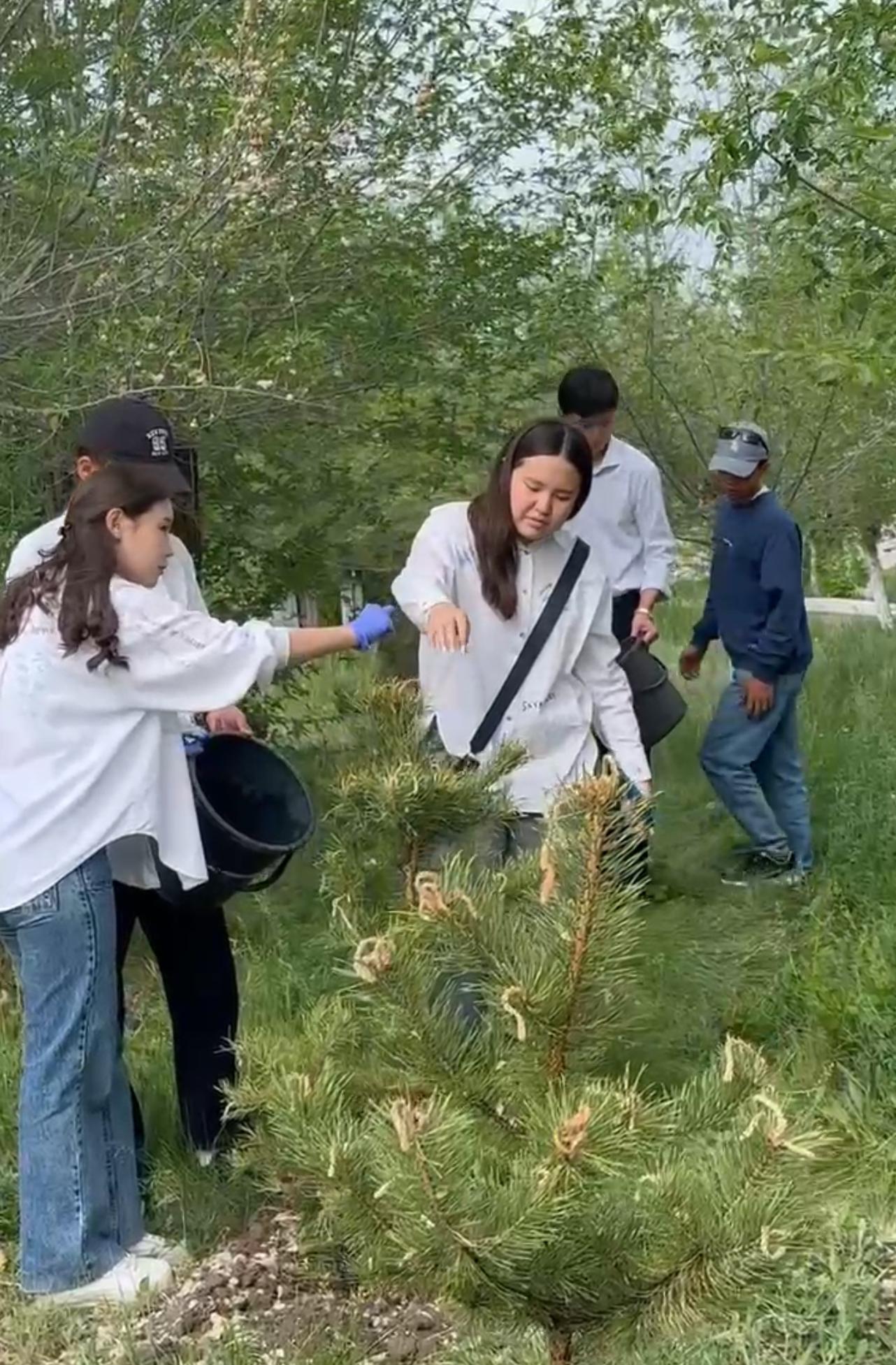 11 сынып түлектері “Біртұтас тәрбие” тәрбие бағдарламасының “Қамқор” жобасы аясында “Түлектердің ағаш егуі” республикалық экочеленджіне қатысты