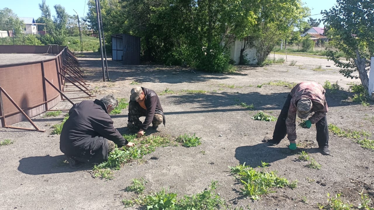 Антоновка ауылындағы хоккей кортының аумағында шөп жинау жұмыстары жүргізілді.
