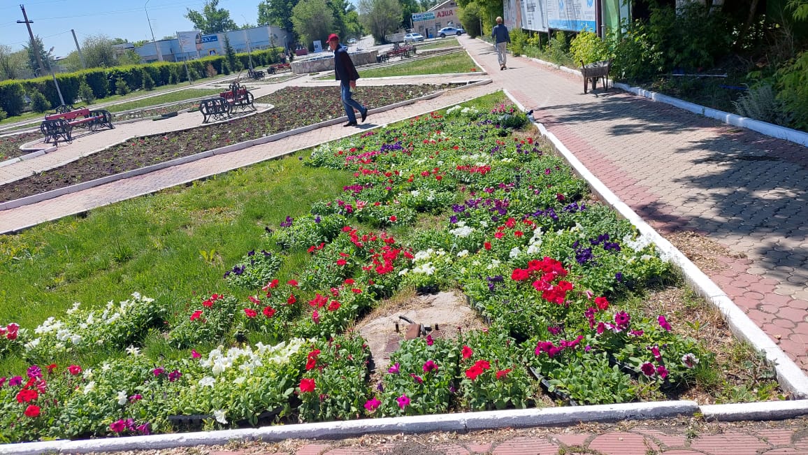 Ботақара кентінде абаттандыру жұмыстары жалғасуда