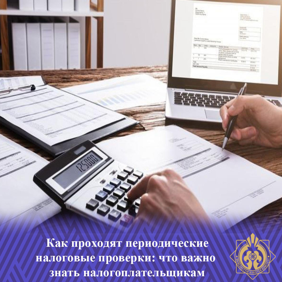 Мерзімдік салықтық тексерулер қалай өтеді: салық төлеушілер нені білуі қажет