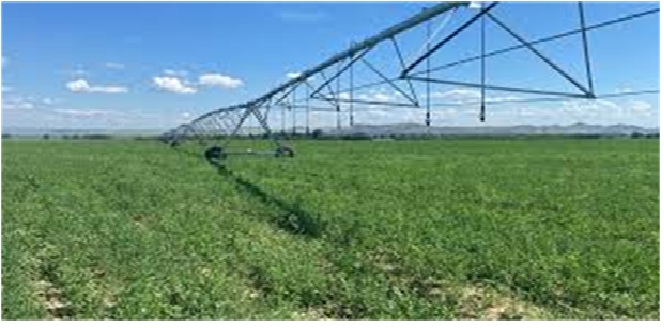 Қасқат ауылындағы жем дақылдарын өсіру үшін 150 га суару жүйесі құрылысы