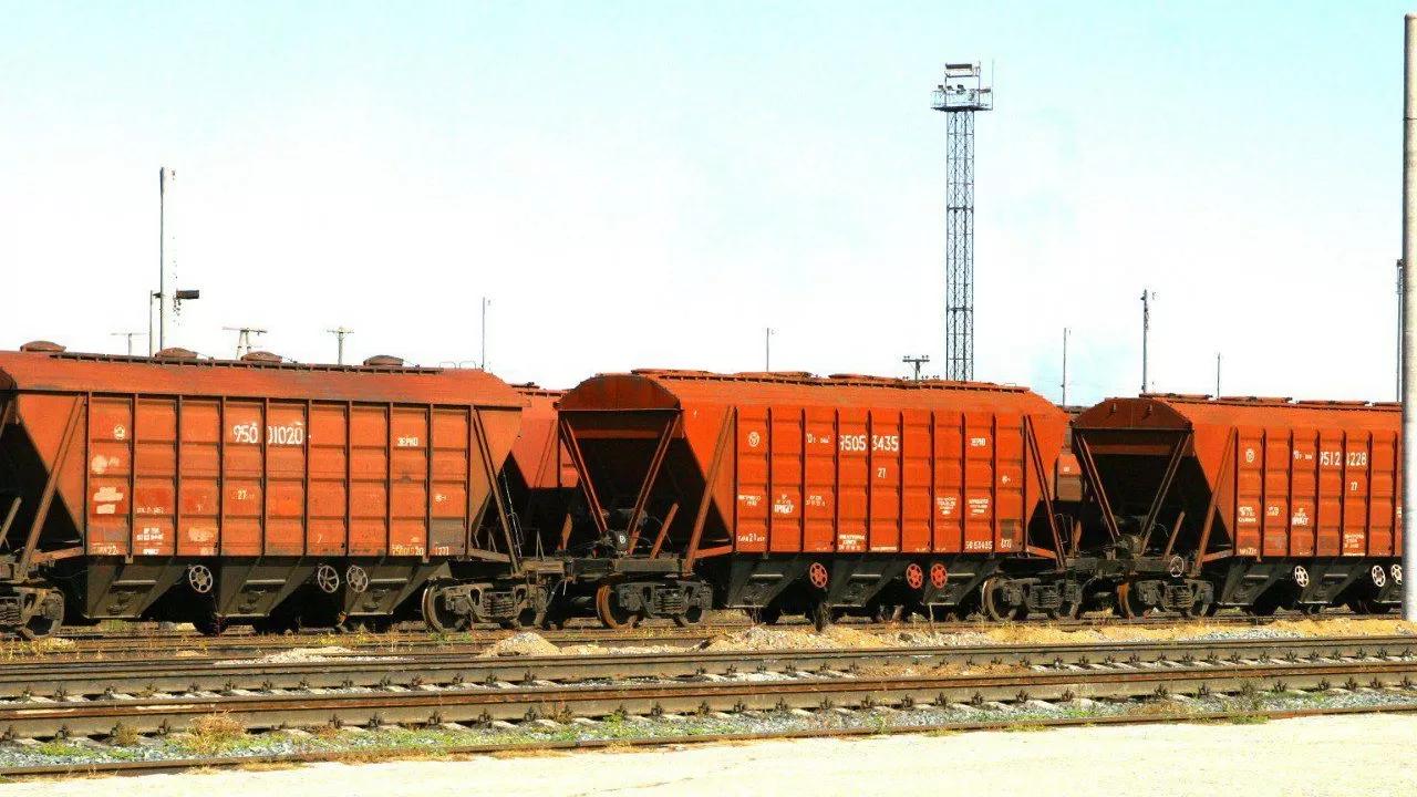 Жаңа өнімнің астығын экспорттау 58,1%-ға артты