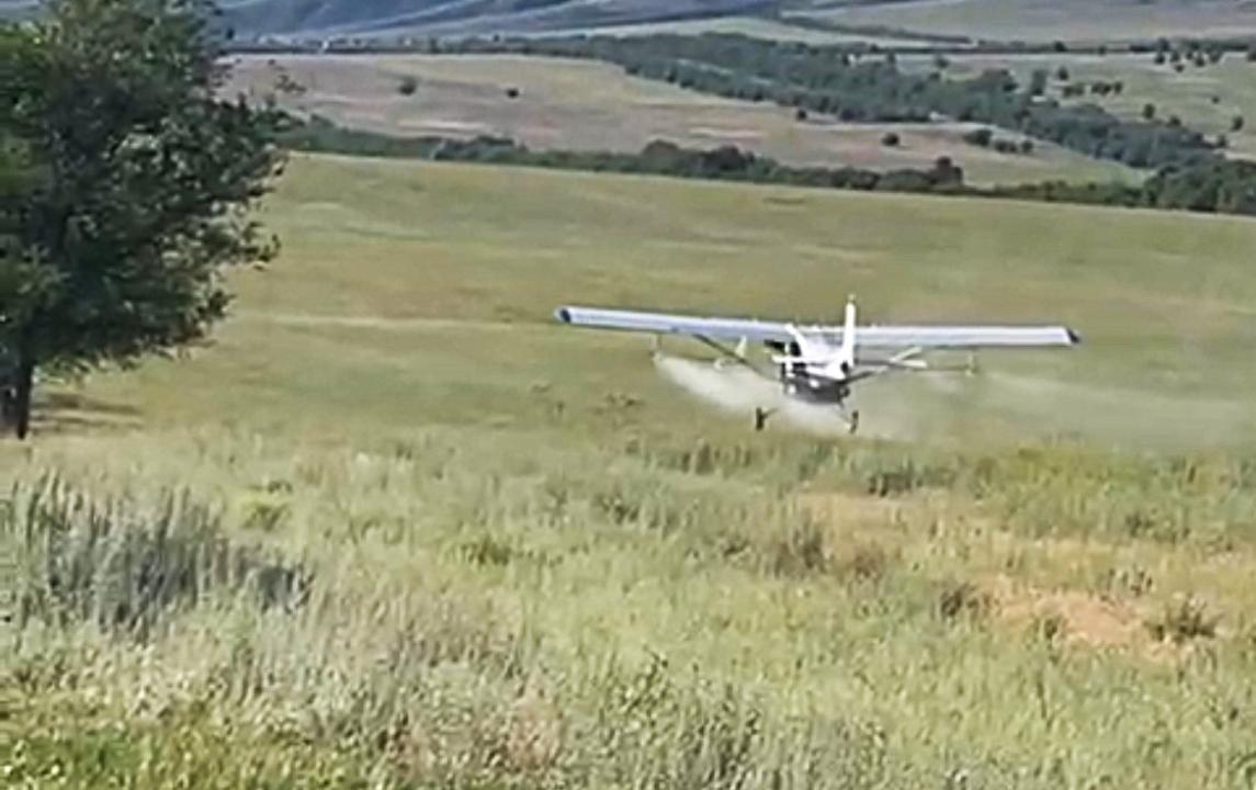 Жетісу облысының егіс алқаптарында зиянкестерге қарсы өңдеу жұмыстары жүргізілуде