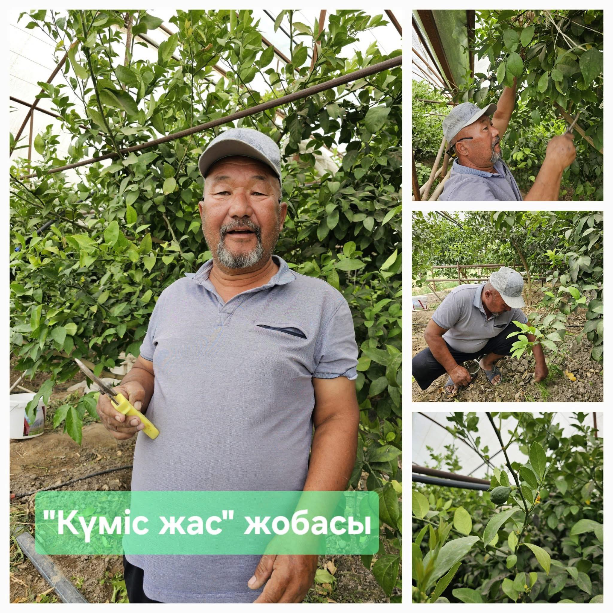 «ЖАҢА ЖОБА-ЖАҢА МҮМКІНДІК»