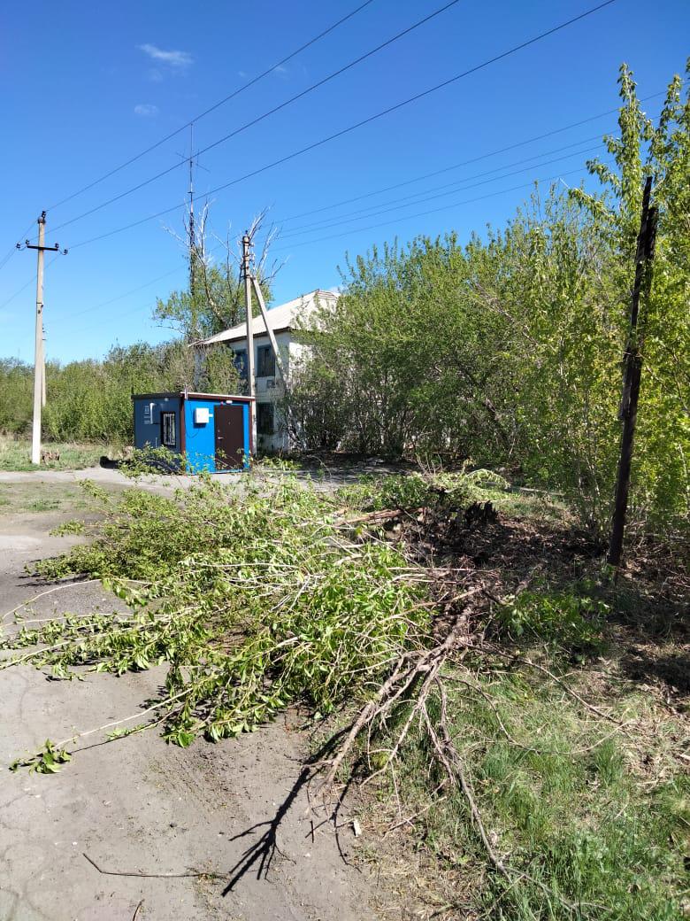 Таза Казахстан