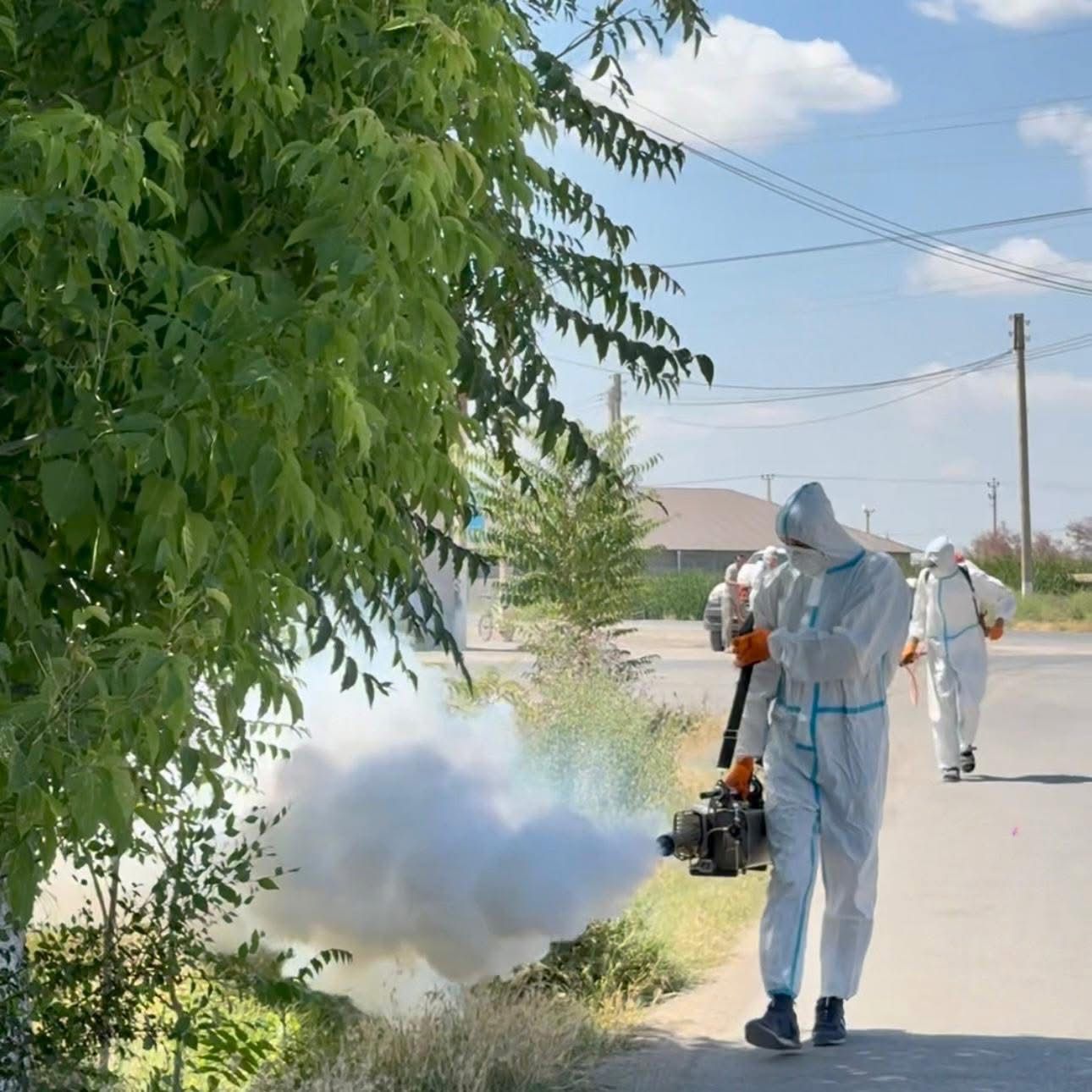 ТҮРКІСТАН: ШАРДАРА АУДАНЫНДА ШІРКЕЙГЕ ҚАРСЫ ЗАЛАЛСЫЗДАНДЫРУ ЖҰМЫСТАРЫ ЖАЛҒАСУДА