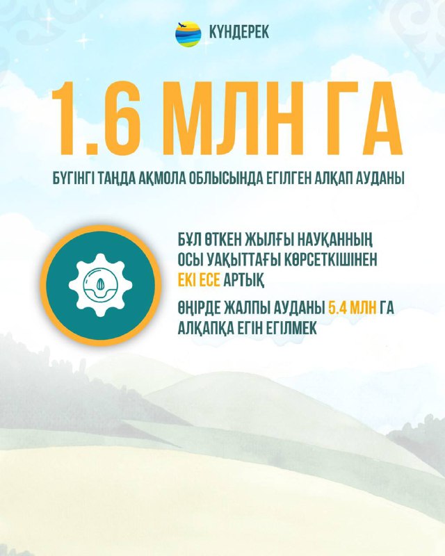 Ақмола облысында бүгінгі таңда 1.6 млн гектар алқапқа ауыл шаруашылығы дақылы егілді.