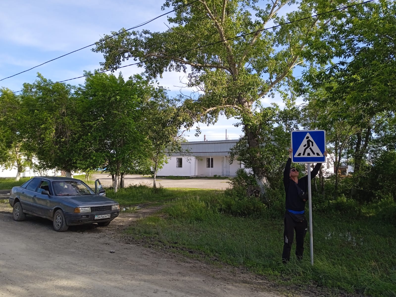 Ломоносов және жемісті ауылдарындағы ағаштарды кесу.