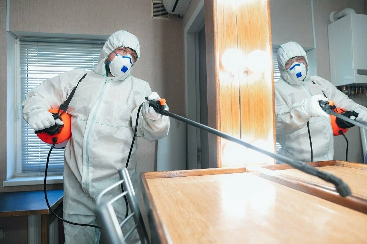 Дезинфекция, дезинсекция және дератизация туралы сұрақтар
