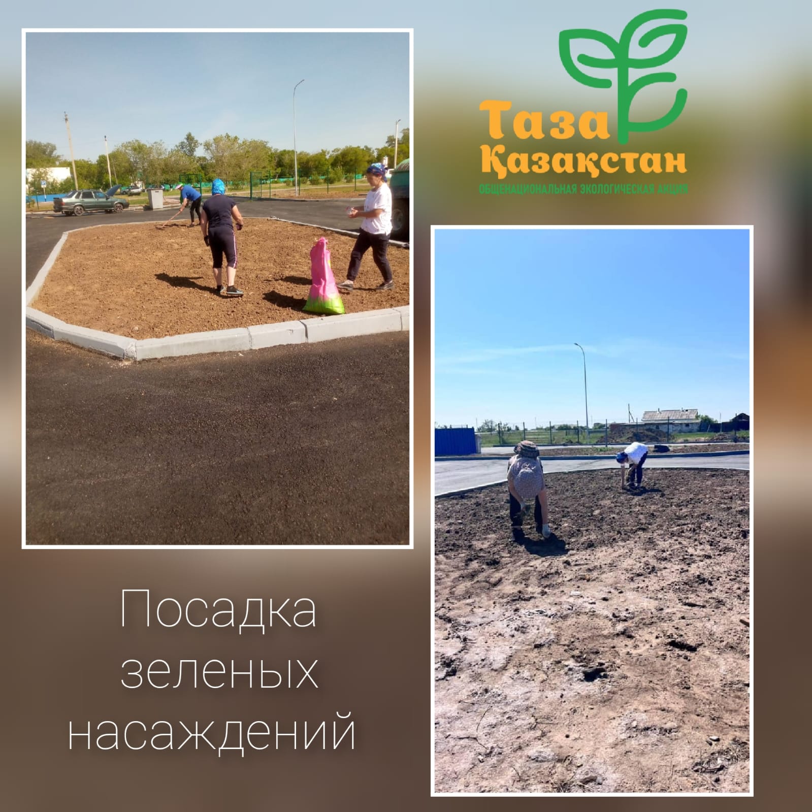 Завершили посадку зеленых насаждений вокруг физкультурно-оздоровительного комплекса. Посадили специальную траву для газона.