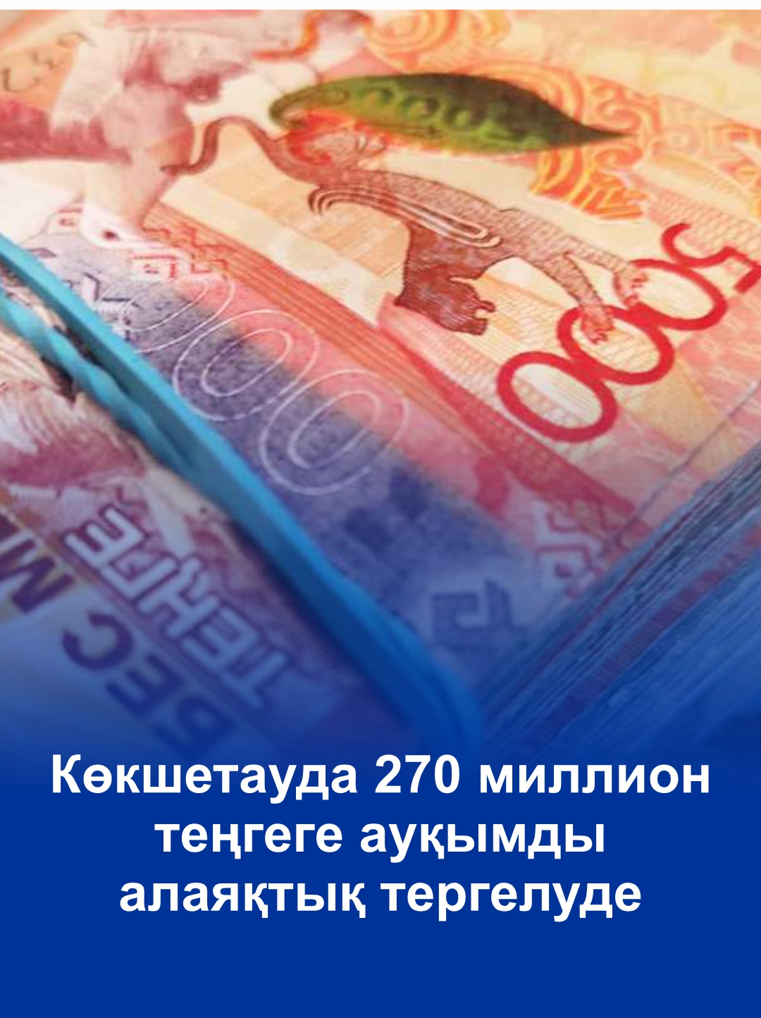 В Кокшетау расследуют масштабное мошенничество на 270 миллионов тенге