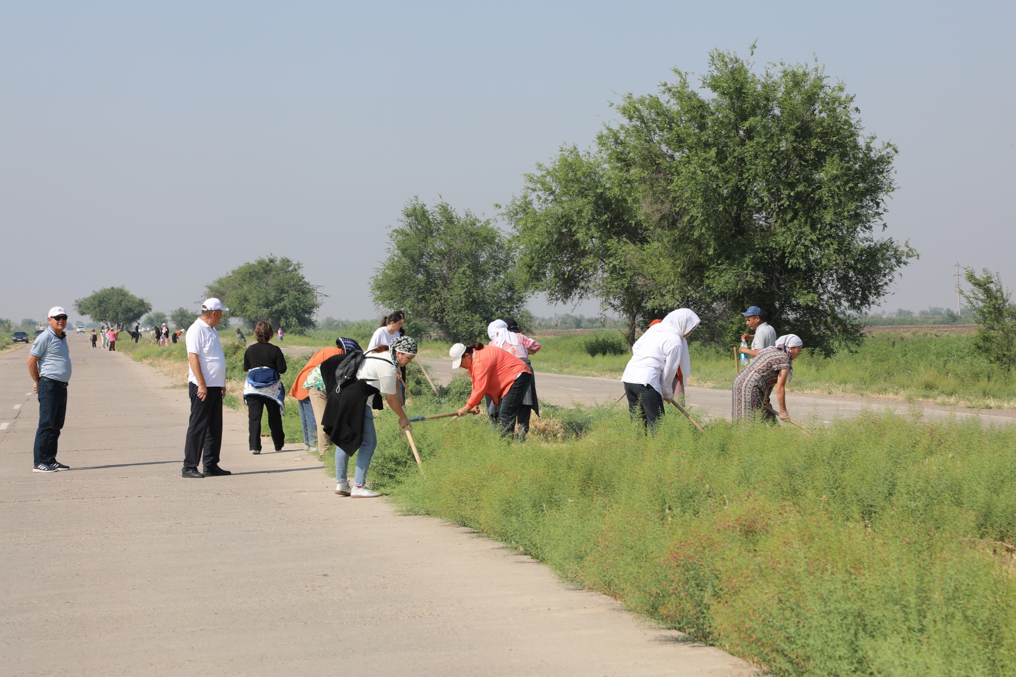 МАҚТААРАЛ АУДАНЫНДА КЕҢ АУҚЫМДЫ СЕНБІЛІК ӨТТІ