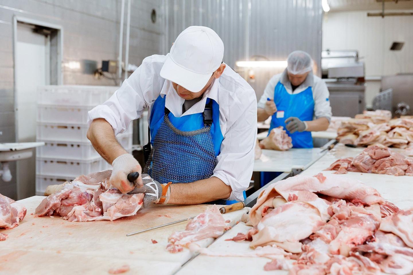 Рост производства мяса в Казахстане: уверенная динамика развития отрасли