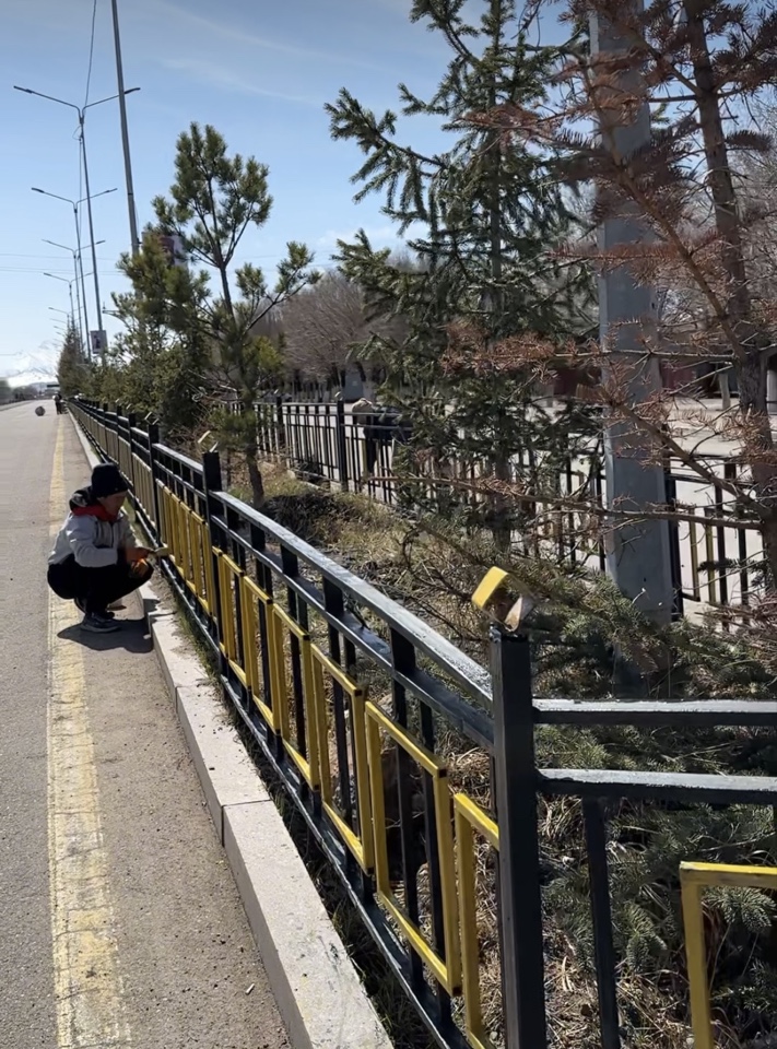 Кеген ауылындағы орталық Райымбек көшесінің бойындағы аллея қошаулары округ әкімдігінің қаржы есебінен қалыпқа келтіріліп, сырлау және әктеу жұмыстары жүргізілді. Ерекше көрік беретін “Лайдбокстарда” жаңартылып, қайта орнатылды.
