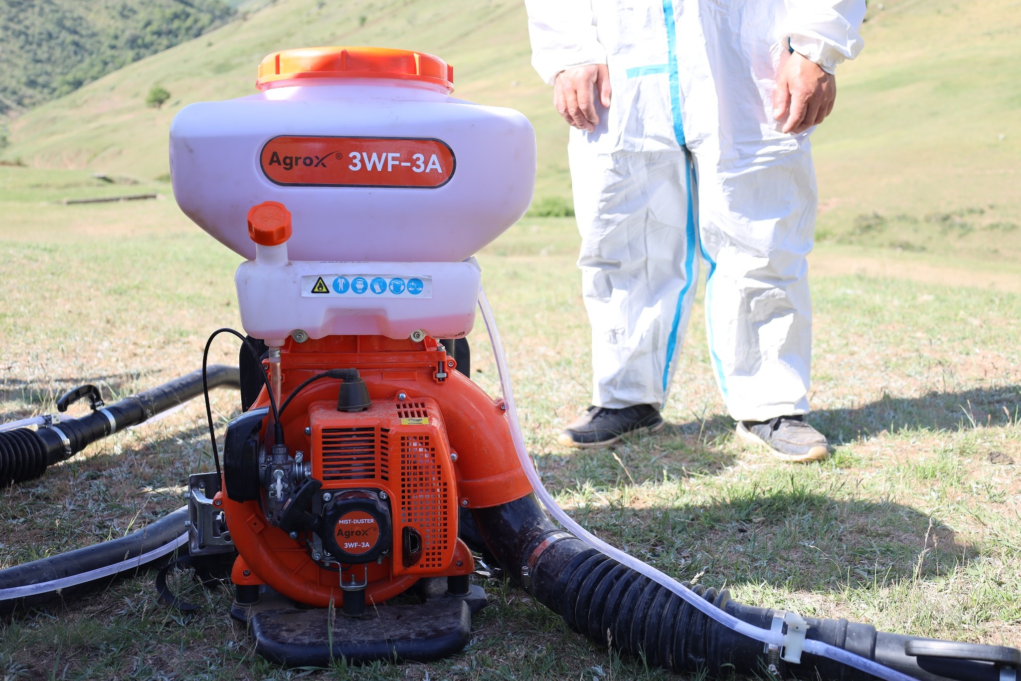 ШЕГІРТКЕГЕ ҚАРСЫ 1200 ГЕКТАР АУМАҚ ЗАЛАЛСЫЗДАНДЫРЫЛАДЫ