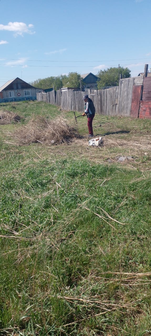 Құрғақ шөпті жинау