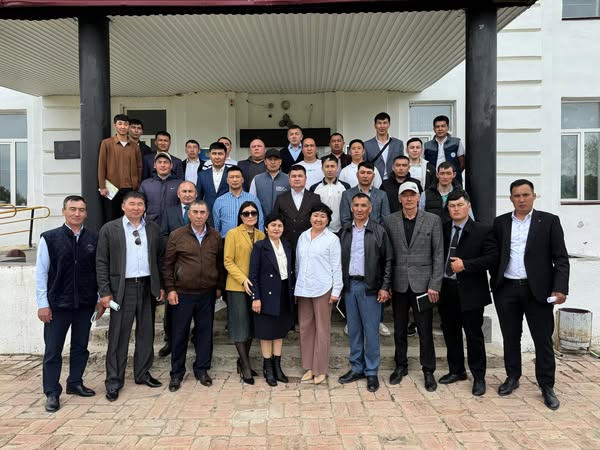 Мәселе. Перспектива. Тәжірибе.