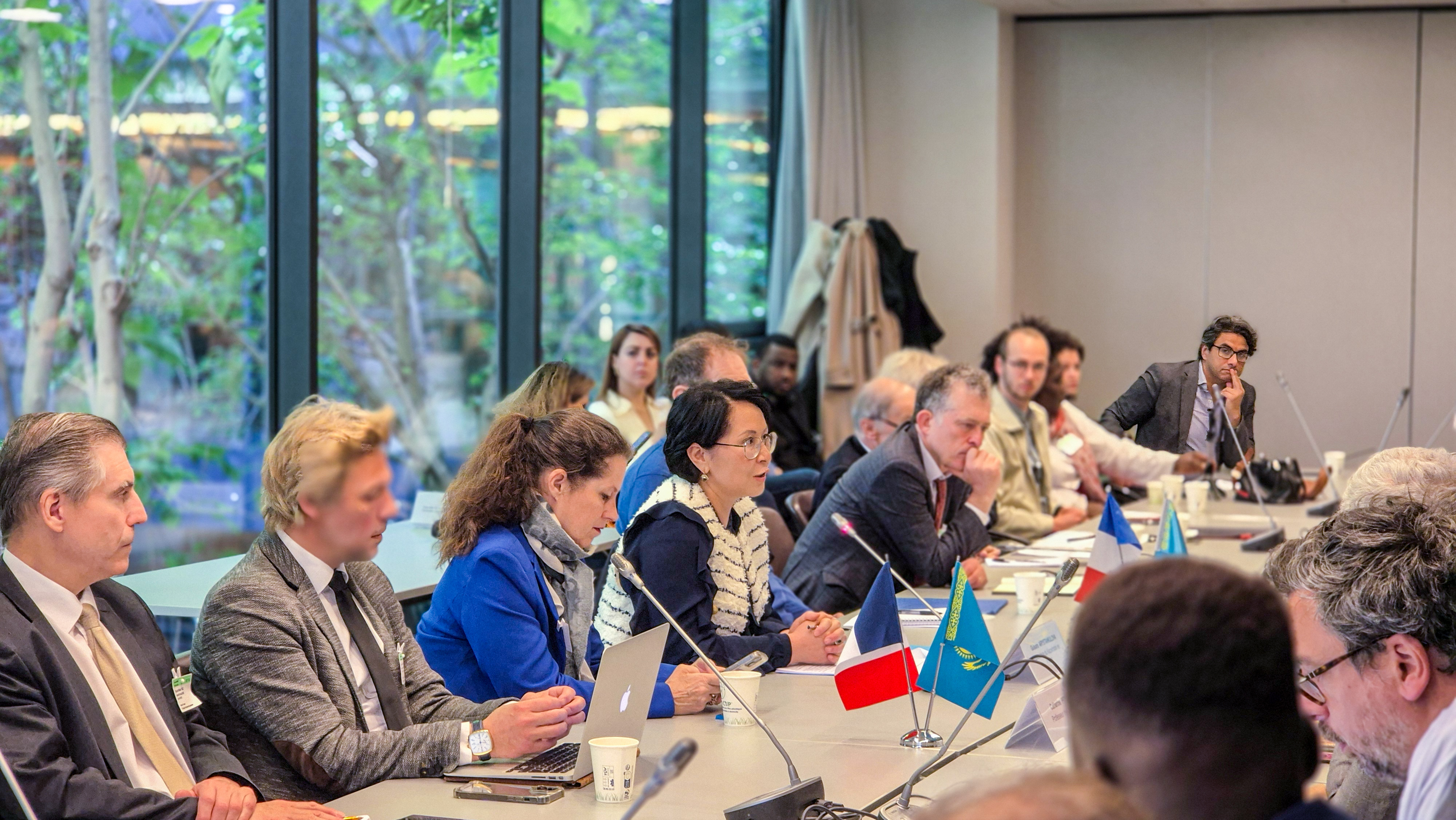 ЕО мен Орталық Азия арасындағы ынтымақтастықты нығайтудағы Қазақстанның жетекші рөлі Франция Парламентінде талқыланды