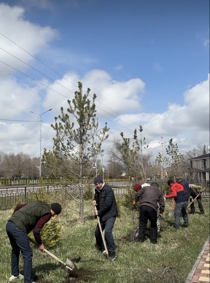 Кеген ауылдық округінде "Дүниежүзілік тал - терек отырғызу күні" акциясы аясында, Маслихат депутаттары мен аудандық мекемелердің қызметкелері Райымбек көшесінде орналасқан аллея мен округ аумағында әр түрлі тал-теректер мен шырша, арша және қарағайдың көшеттерін отырғызды.
