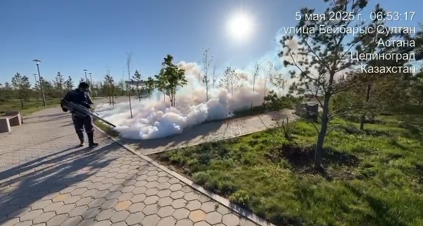 Елордада масаға, шыбын-шіркейге және кеміргіштерге қарсы күрес қалай жүріп жатыр