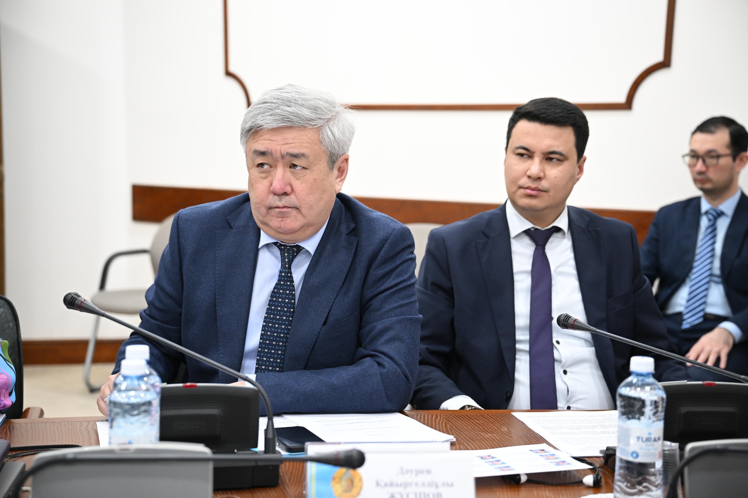 Казахстан и ОАЭ запустят крупнейший проект в сфере «зелёной» энергетики в Жамбылской области