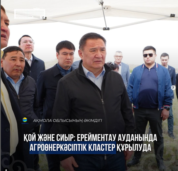 Овцы и коровы: в Ерейментауском районе создается агропромышленный кластер.