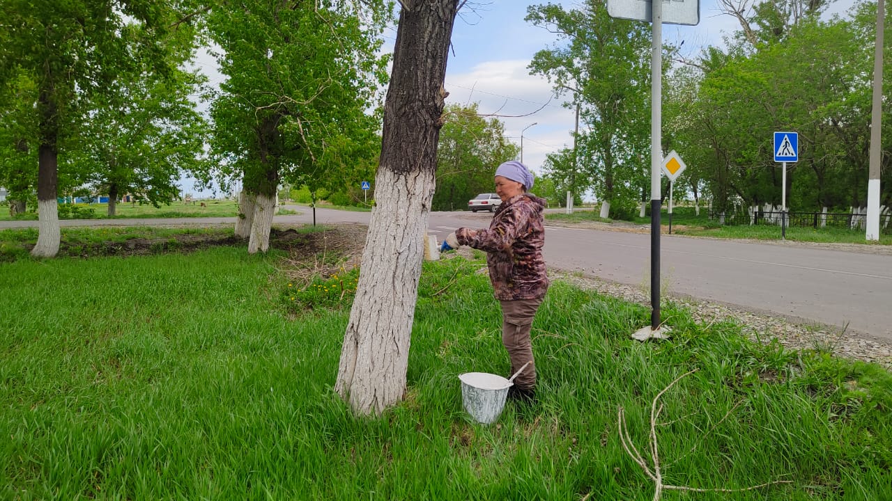 ТАЗА ҚАЗАҚСТАН