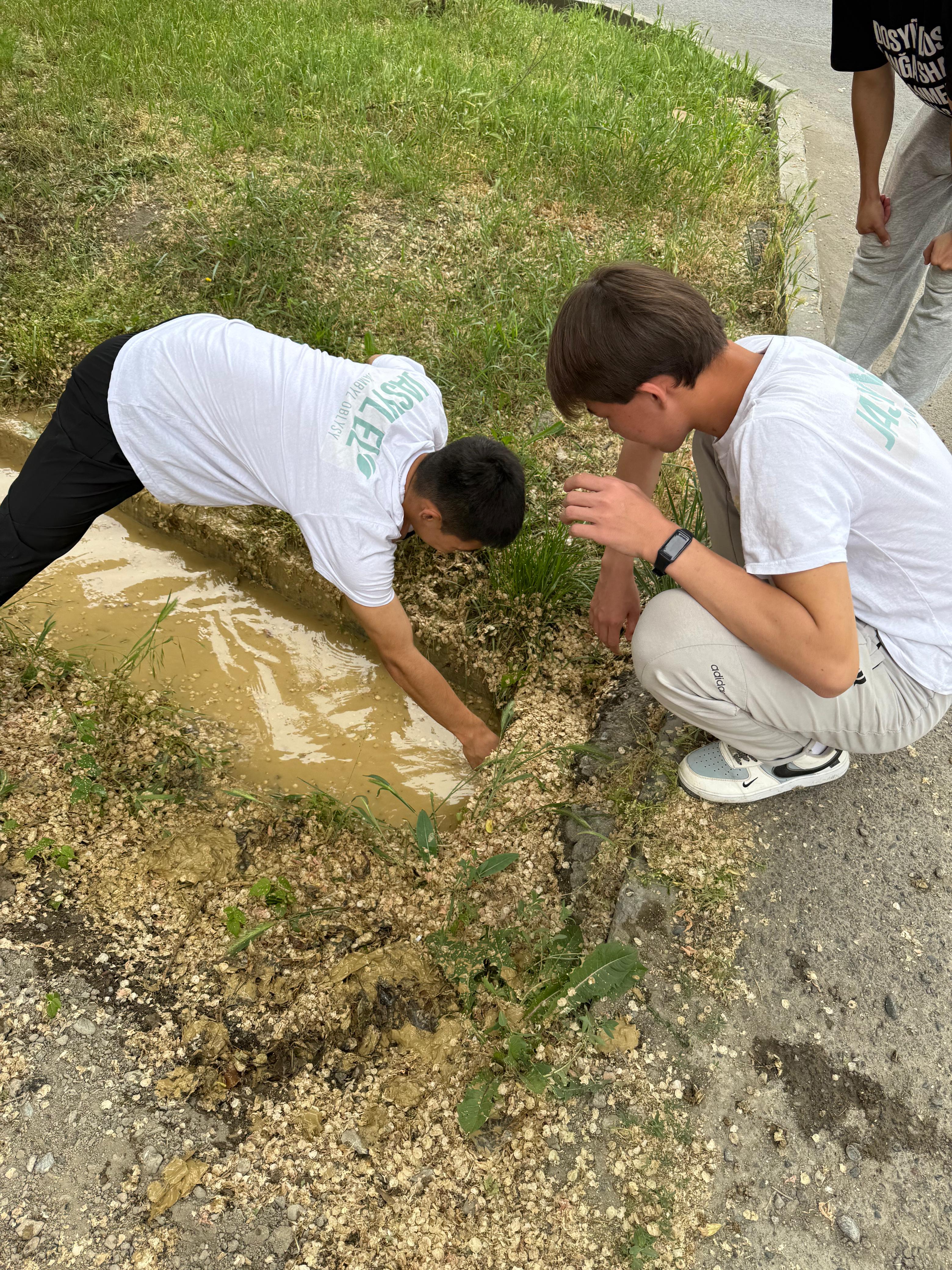 ЖАМБЫЛ ОБЛЫСЫНДА «ТАЗА ҚАЗАҚСТАН» ЭКОЛОГИЯЛЫҚ АКЦИЯСЫ ЖАЛҒАСУДА