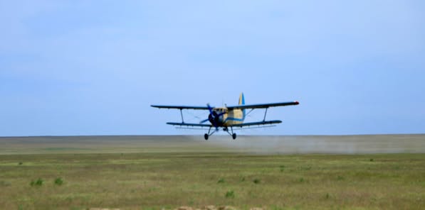 КЕЛЕСТЕ ЗИЯНКЕСТІҢ КӨШУІНЕ ТОСҚАУЫЛ ҚОЙЫЛУДА