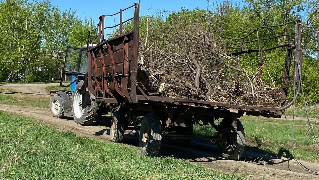 "Біздің орталықты жақсартайық!"- "Тобыл" заставасын тату тазалау