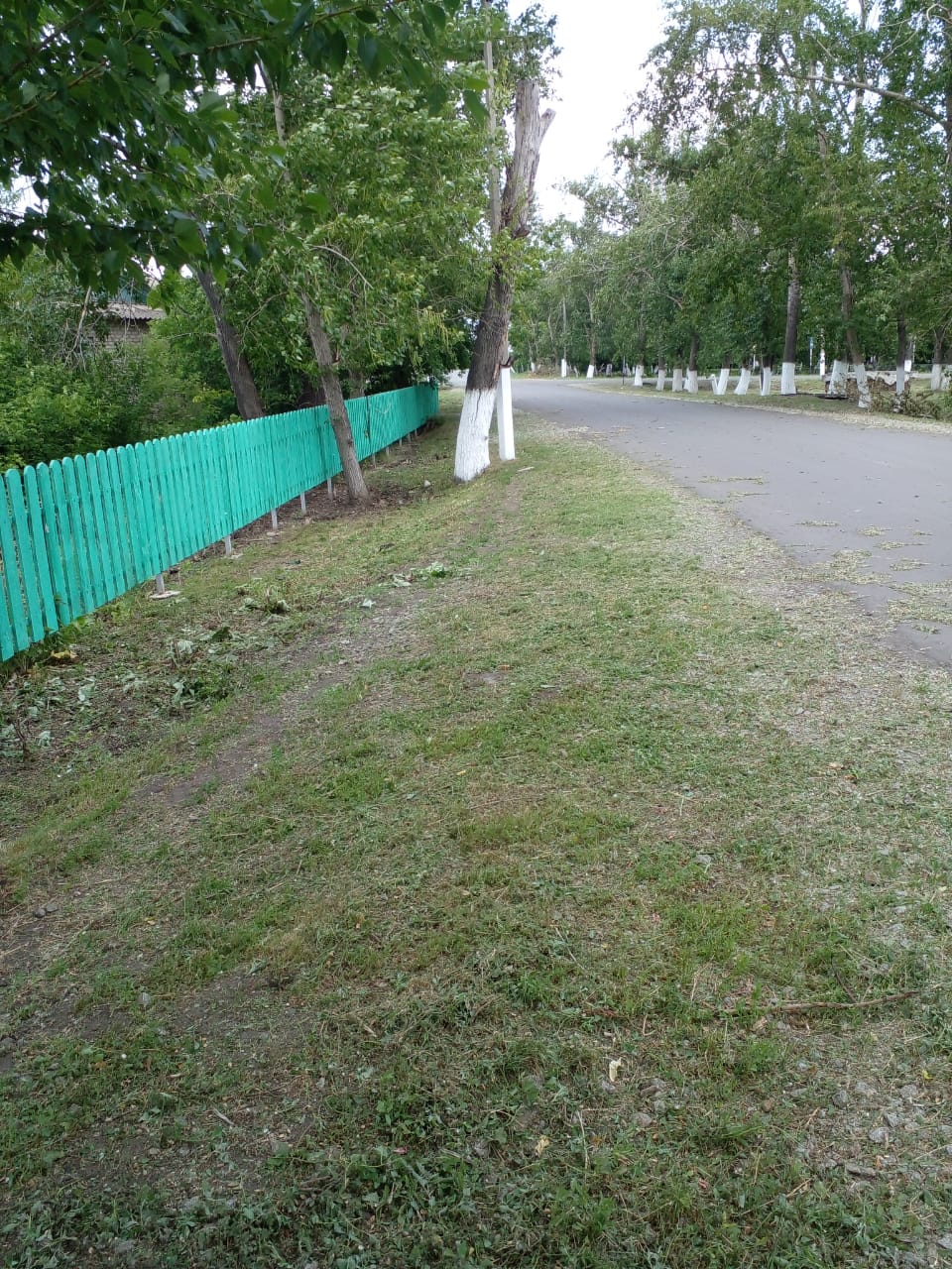 «Таза Қазақстан» республикалық экологиялық акциясы аясында Костряков ауылында абаттандыру жұмыстары жалғасуда.