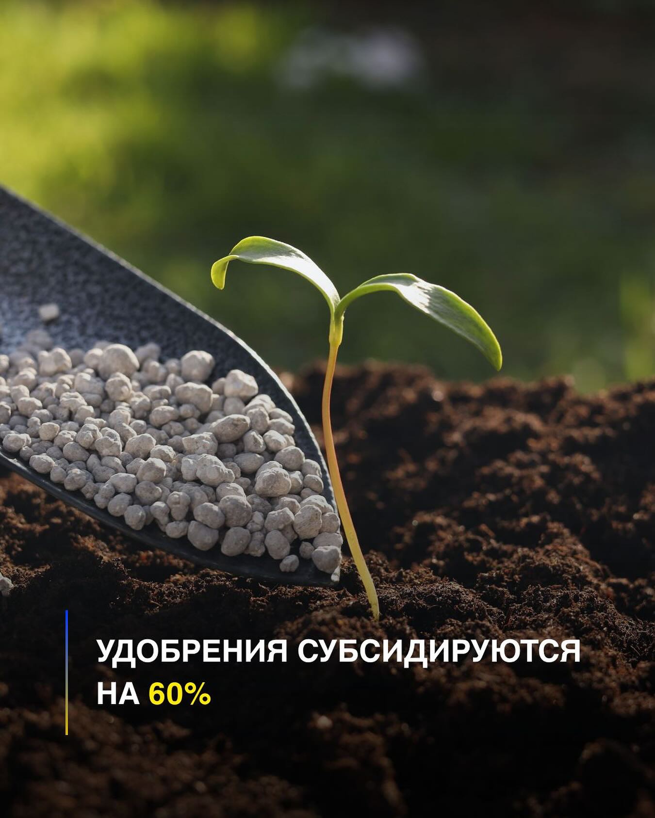 В ОБЛАСТИ ҰЛЫТАУ УДОБРЕНИЯ СУБСИДИРУЮТСЯ НА 60%