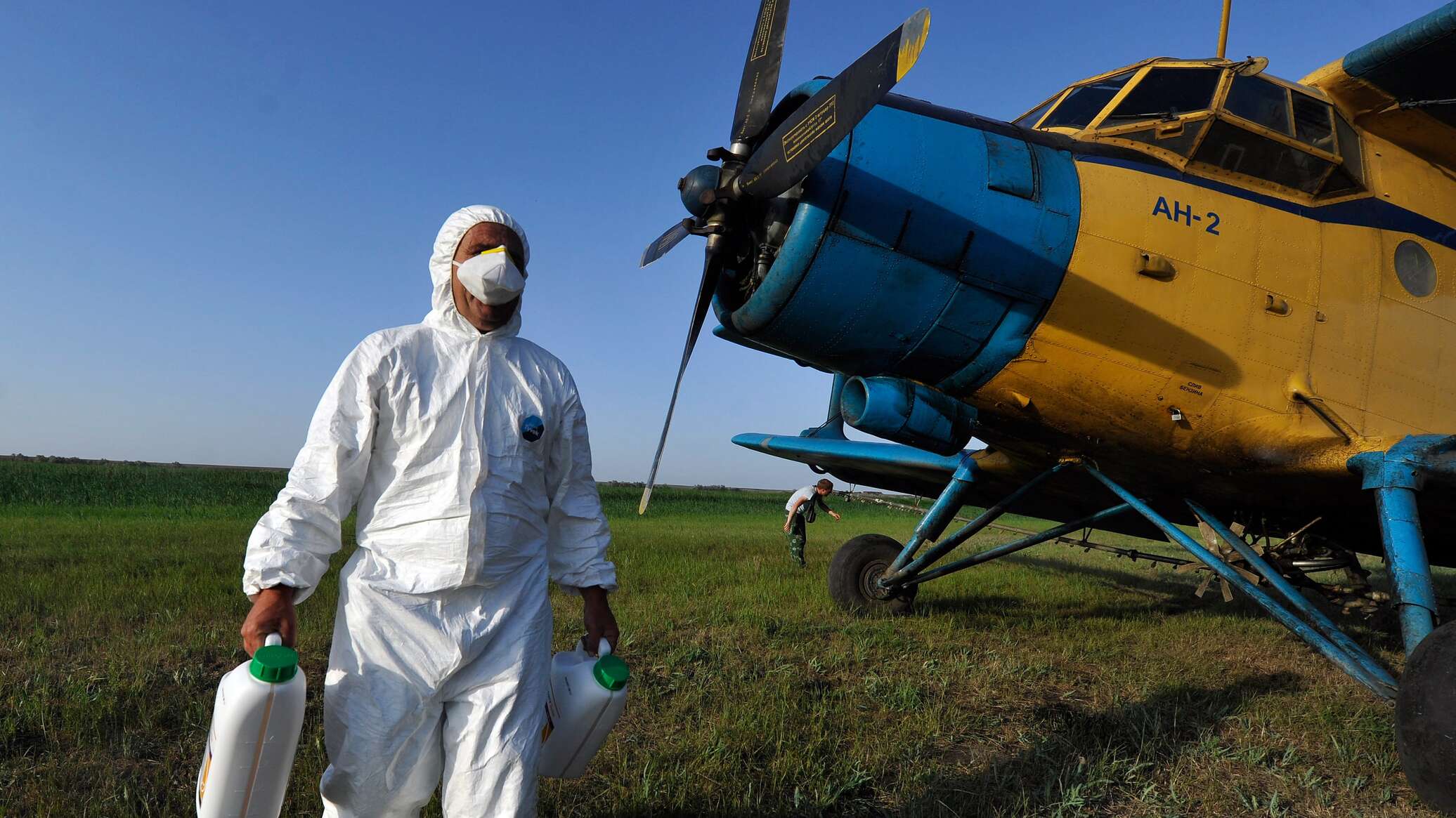 Қараой округінде шегірткеге қарсы жоспарлы науқан жалғасуда