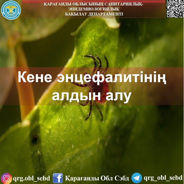 Кене энцефалитінің алдын алу