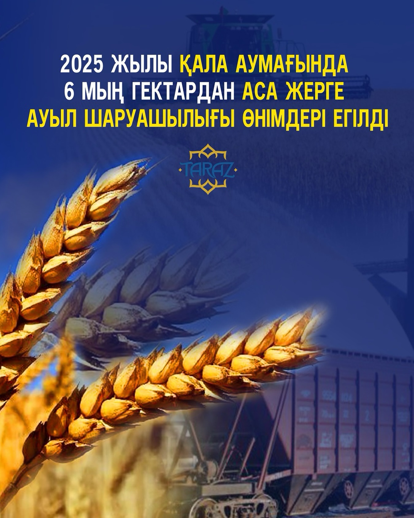 2025 жылы қала аумағында 6 мың гектардан аса жерге ауыл шаруашылығы өнімдері егілді