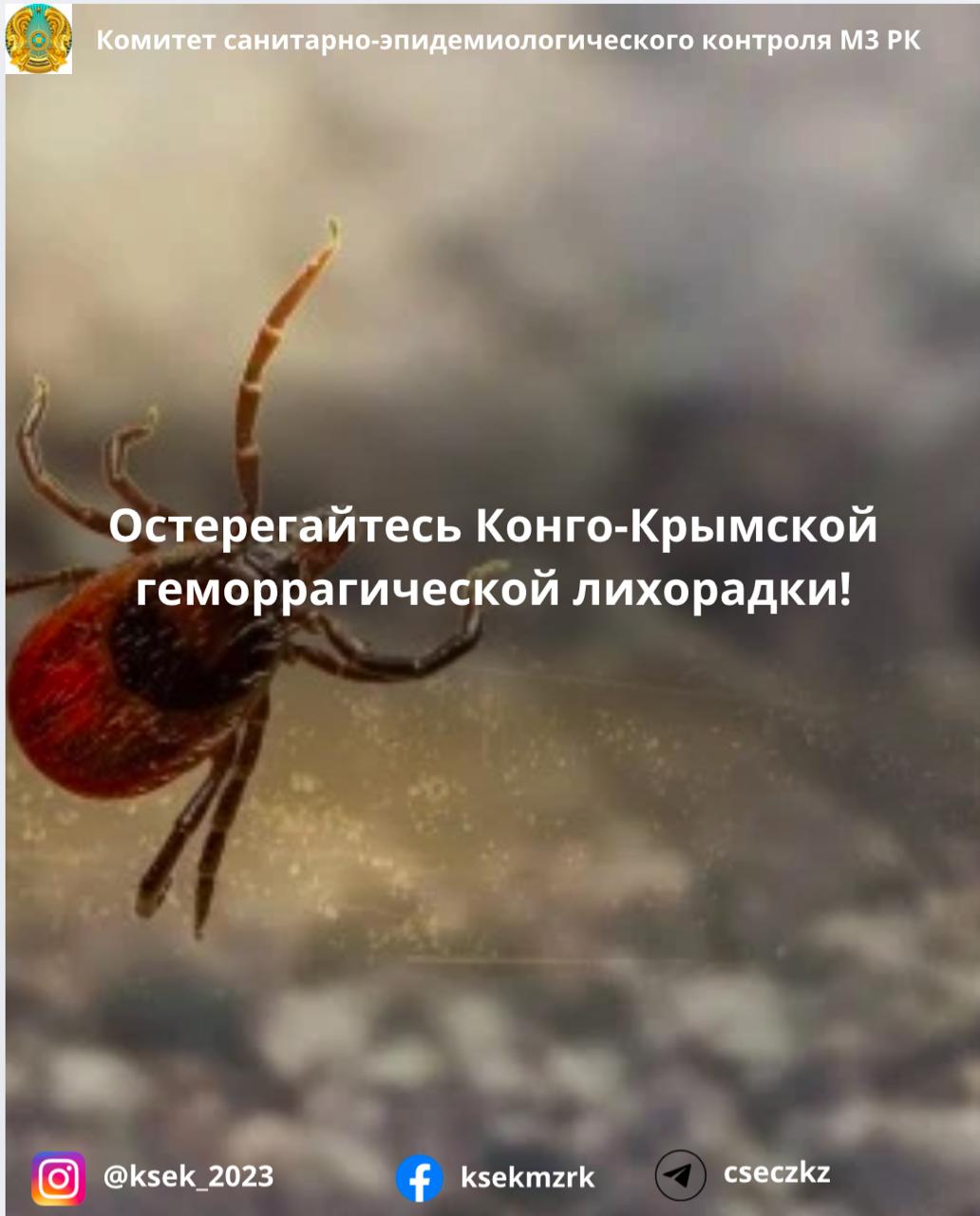 Остерегайтесь Конго-Крымской геморрагической лихорадки