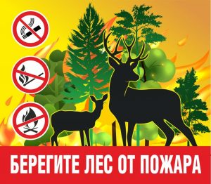 Статистика